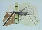 82. ATTUNEMENT Mar 23, 2001 - 2001